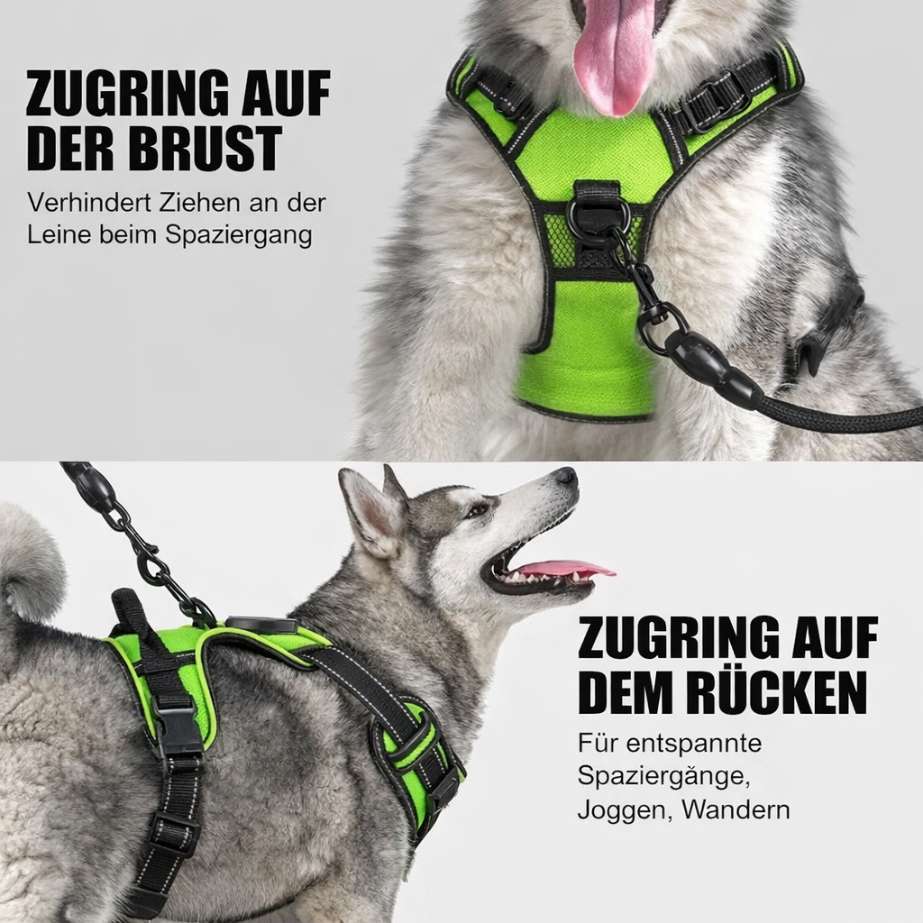 Secure LED Dog Harness | Adjustable Fit | Durable Material