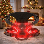 Secure LED Dog Harness | Adjustable Fit | Durable Material