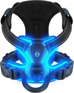 Secure LED Dog Harness | Adjustable Fit | Durable Material