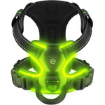 Secure LED Dog Harness | Adjustable Fit | Durable Material