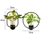 Wall Light for Plants with Glass Planter | Warm Light | Decorative Wall Accent