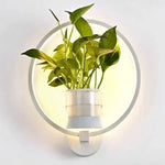 Wall Light for Plants with Glass Planter | Warm Light | Decorative Wall Accent