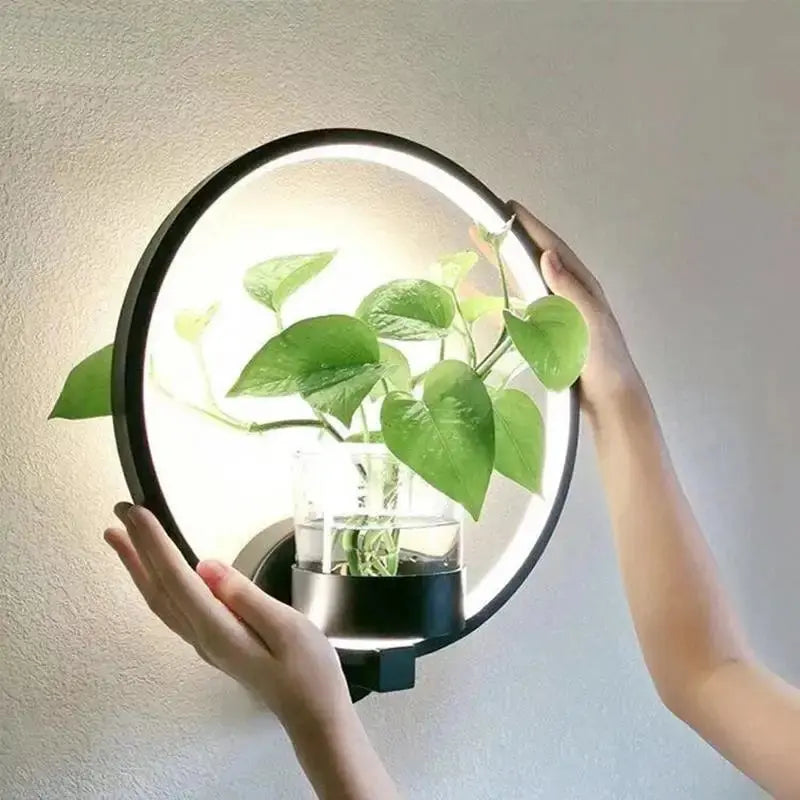 Wall Light for Plants with Glass Planter | Warm Light | Decorative Wall Accent