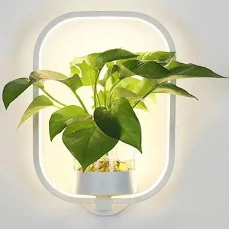 Wall light with LED and integrated glass vase – Round & Oval