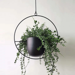 Stylish Hanging Flower Pot for Your Home