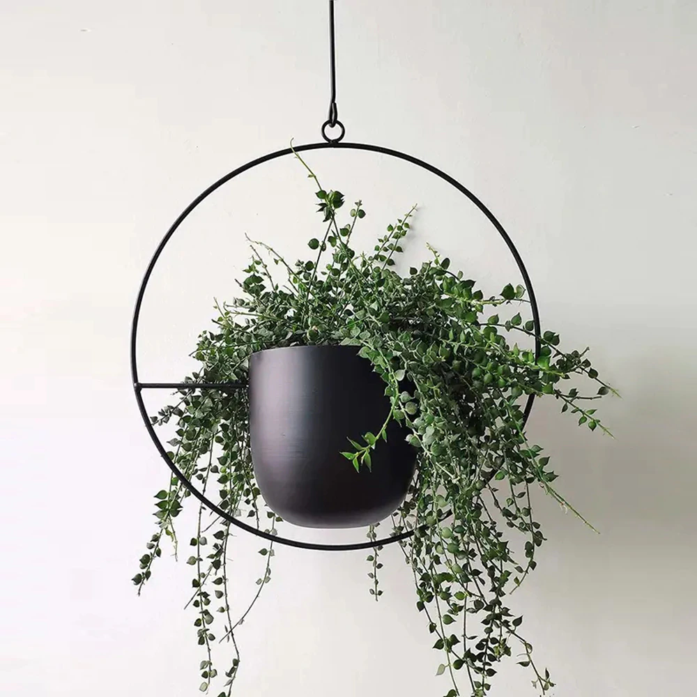 Stylish Hanging Flower Pot for Your Home