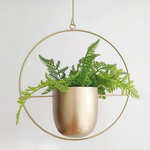 Stylish Hanging Flower Pot for Your Home