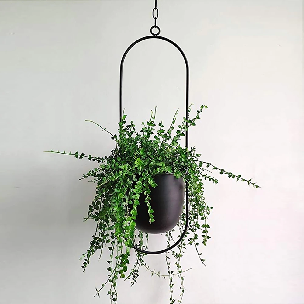 Stylish Hanging Flower Pot for Your Home