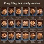 MindPuzzle - Geschenkset mit 6 Holzrätseln für Denksportfans