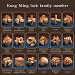 MindPuzzle - Geschenkset mit 6 Holzrätseln für Denksportfans