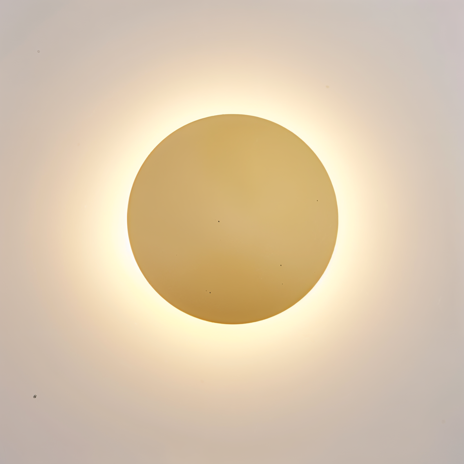 Elegante LED Wandlampe – Mondförmiges Design für stilvolle Beleuchtung