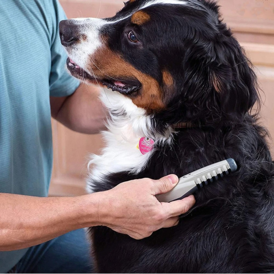Haartrimmer für Haustiere – Sanftes Schneiden für Katzen und Hunde aller Fellarten