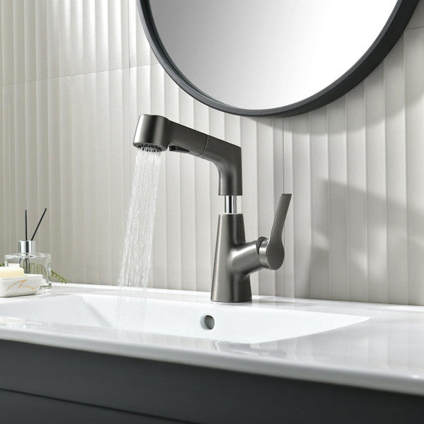 Stylish bathroom faucet with flexible spray hose