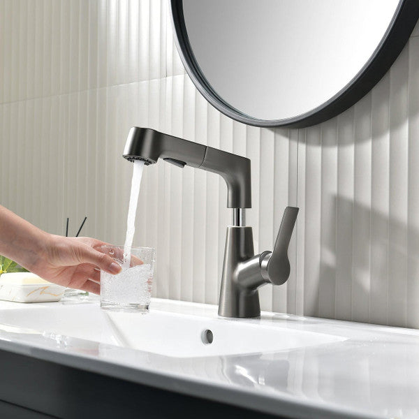 Elegant faucet with flexible hand shower for your bathroom