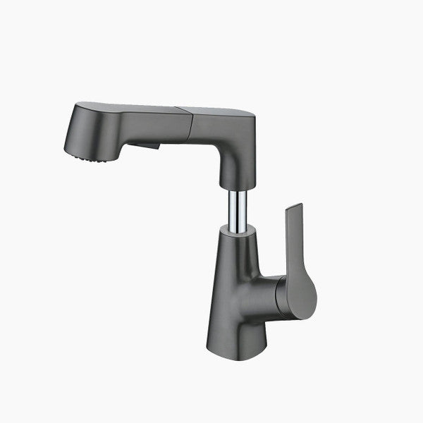 Elegant faucet with flexible hand shower for your bathroom