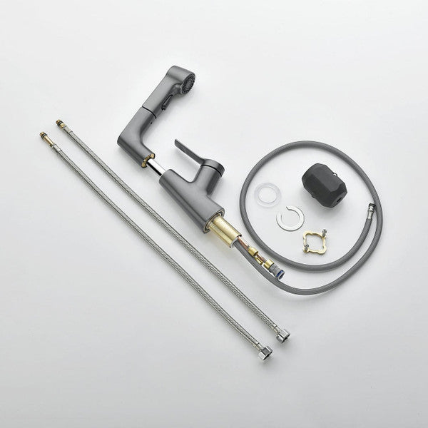 Elegant faucet with flexible hand shower for your bathroom