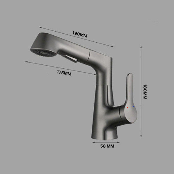 Elegant faucet with flexible hand shower for your bathroom
