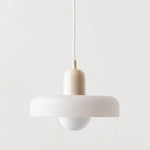 Bauhaus Pendant Light Voltyx