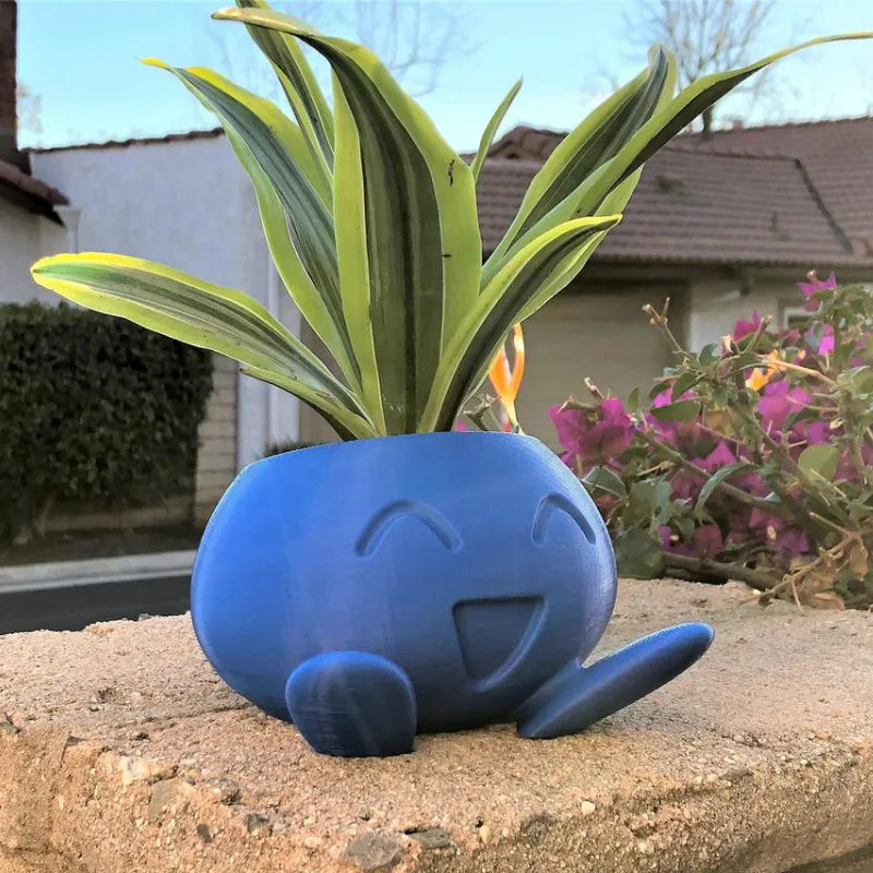 Ceramic Plant Pot with Face – Pot for Small Plants