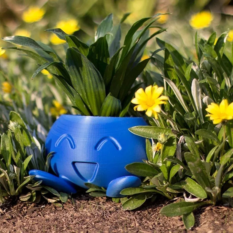 Ceramic Plant Pot with Face – Pot for Small Plants