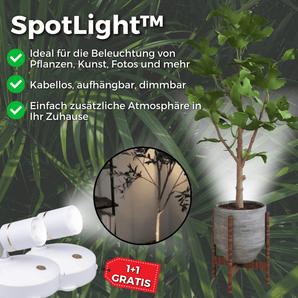 Cordless LED Light – Dimmable with Remote Control
