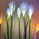 Solar Garden Lights – 12 Waterproof LED Lights for Atmospheric Outdoor Areas