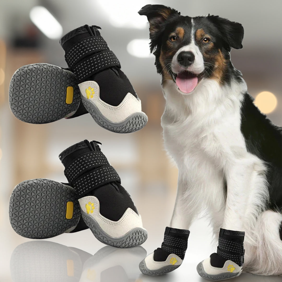 PawCooler | Kühlende Pfotenschutzlösung