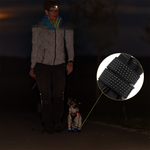 PawCooler | Kühlende Pfotenschutzlösung