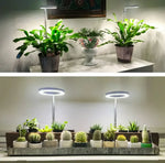 Wachstumslampe für Pflanzen | Vollspektrum LED mit Timer
