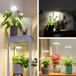 Wachstumslampe für Pflanzen | Vollspektrum LED mit Timer
