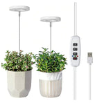 Wachstumslampe für Pflanzen | Vollspektrum LED mit Timer