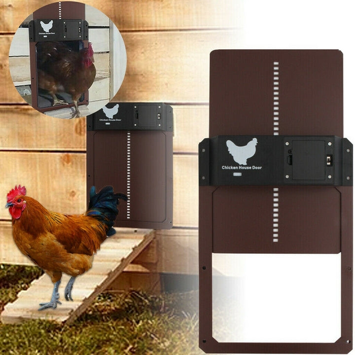 PoultryPro | Automatisierte Sicherheit für Ihre Hühner