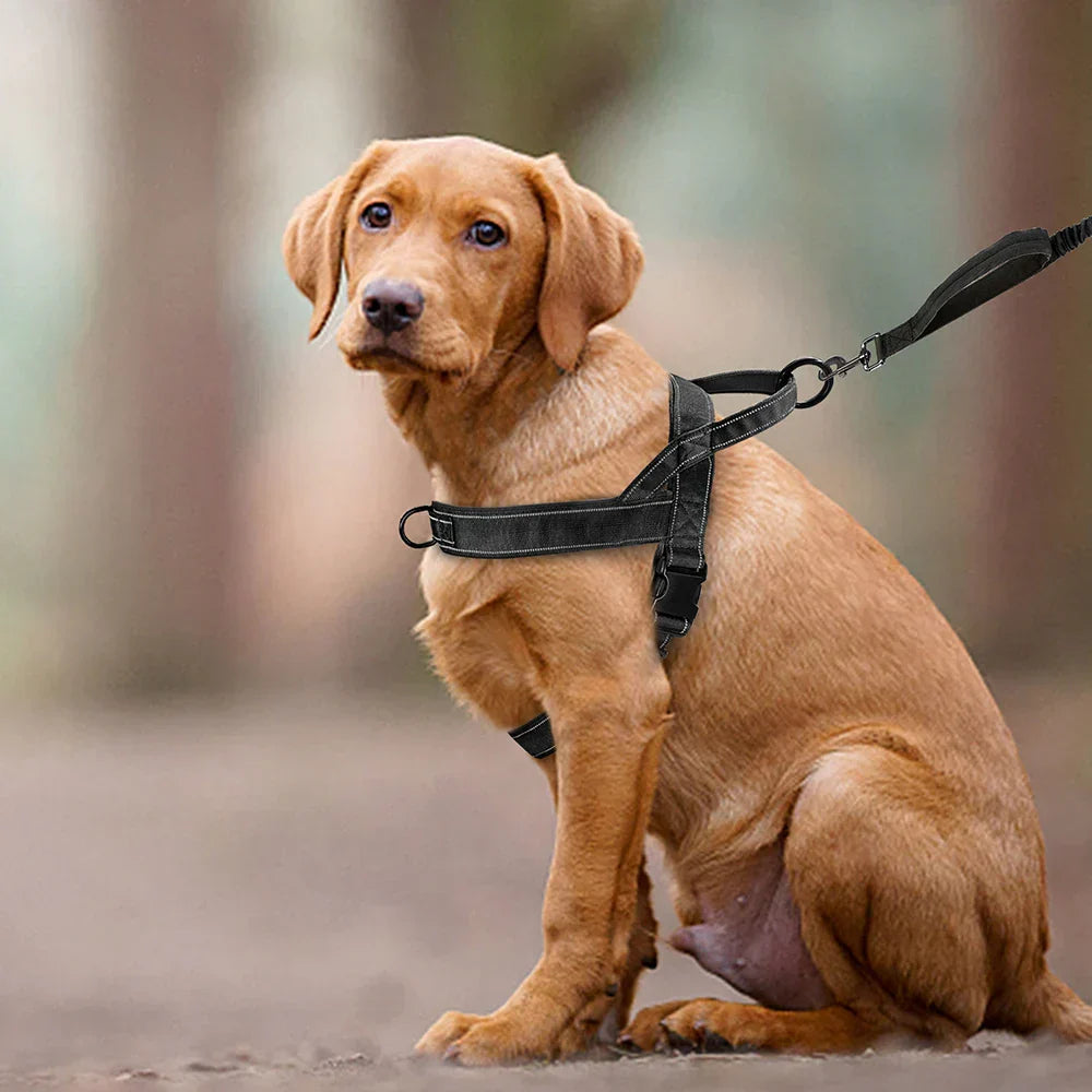 PowerLead | Reflektierendes Geschirr ohne Ziehen für Hunde