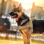 PowerLead | Reflektierendes Geschirr ohne Ziehen für Hunde