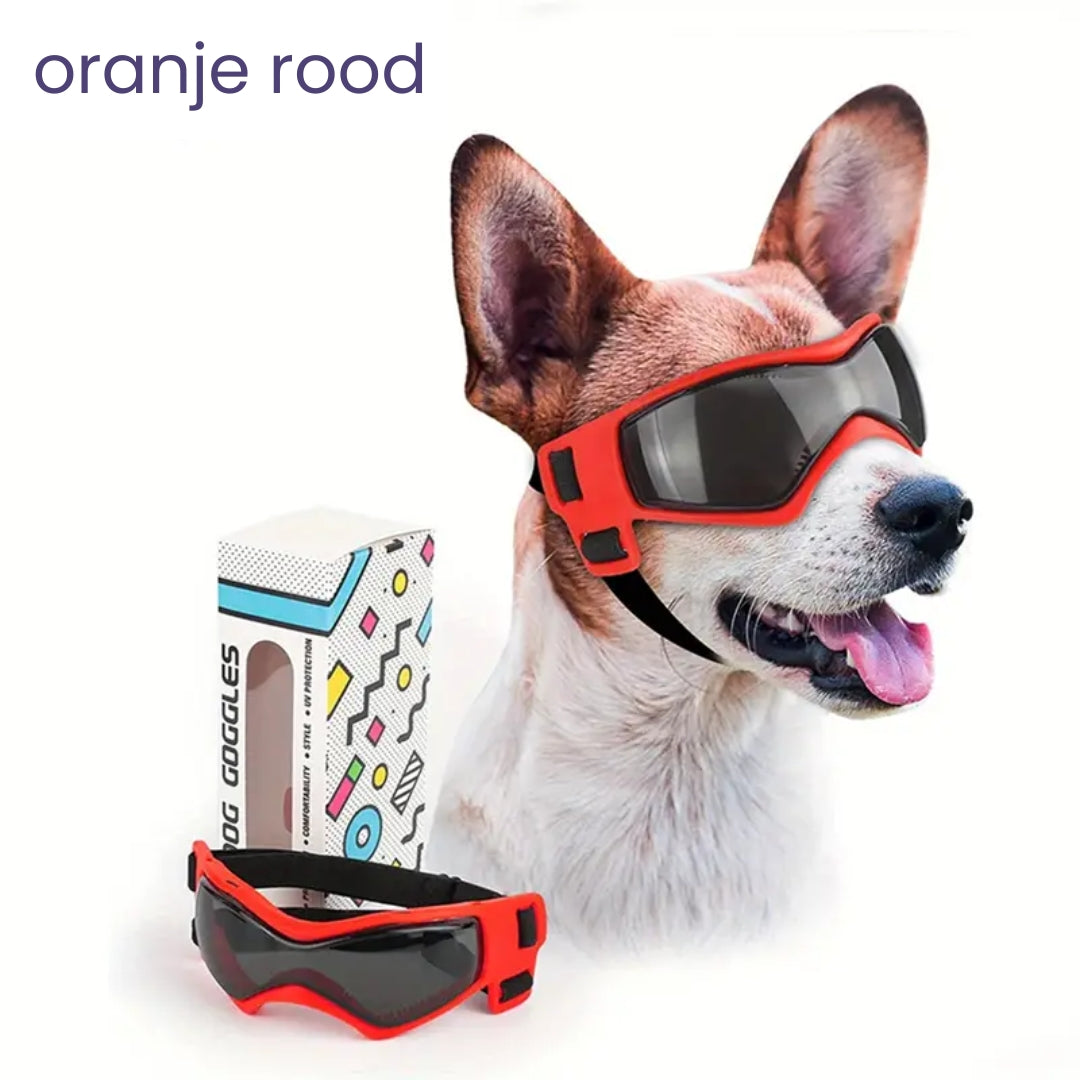 PupVisor | Stylische UV-Sonnenbrille für Hunde