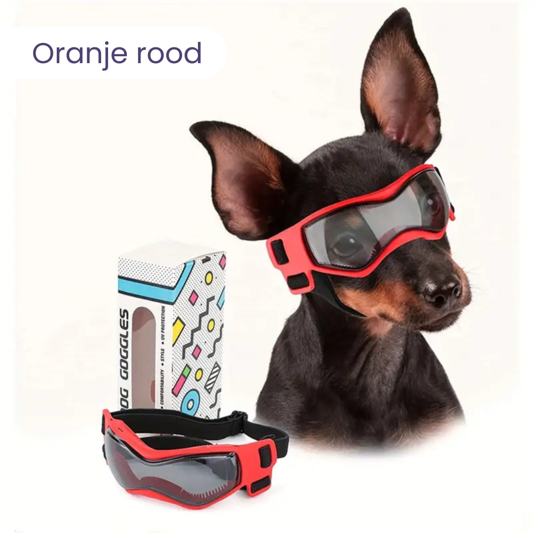 PupVisor | Stylische UV-Sonnenbrille für Hunde