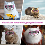 PupVisor | Stylische UV-Sonnenbrille für Hunde