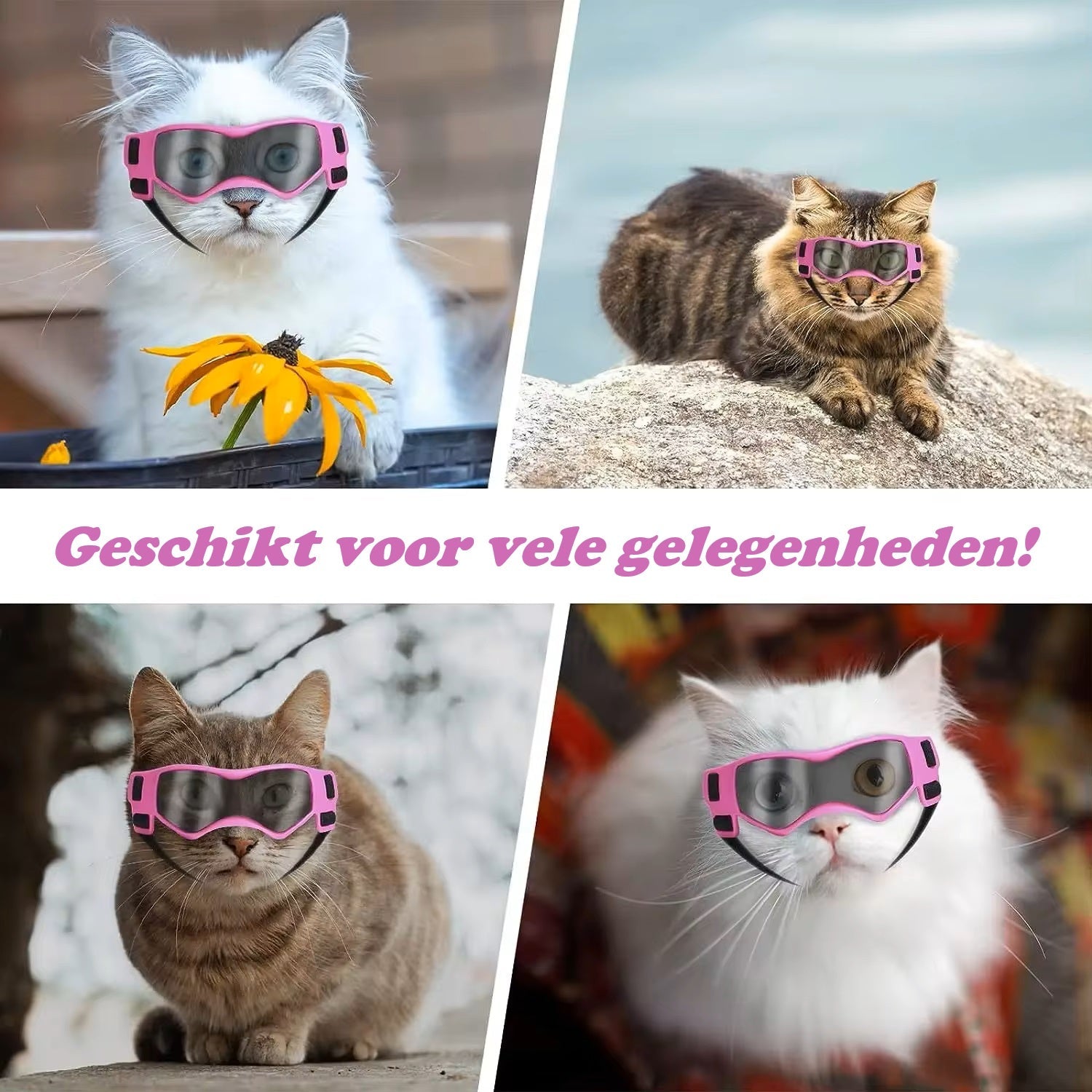 PupVisor | Stylische UV-Sonnenbrille für Hunde