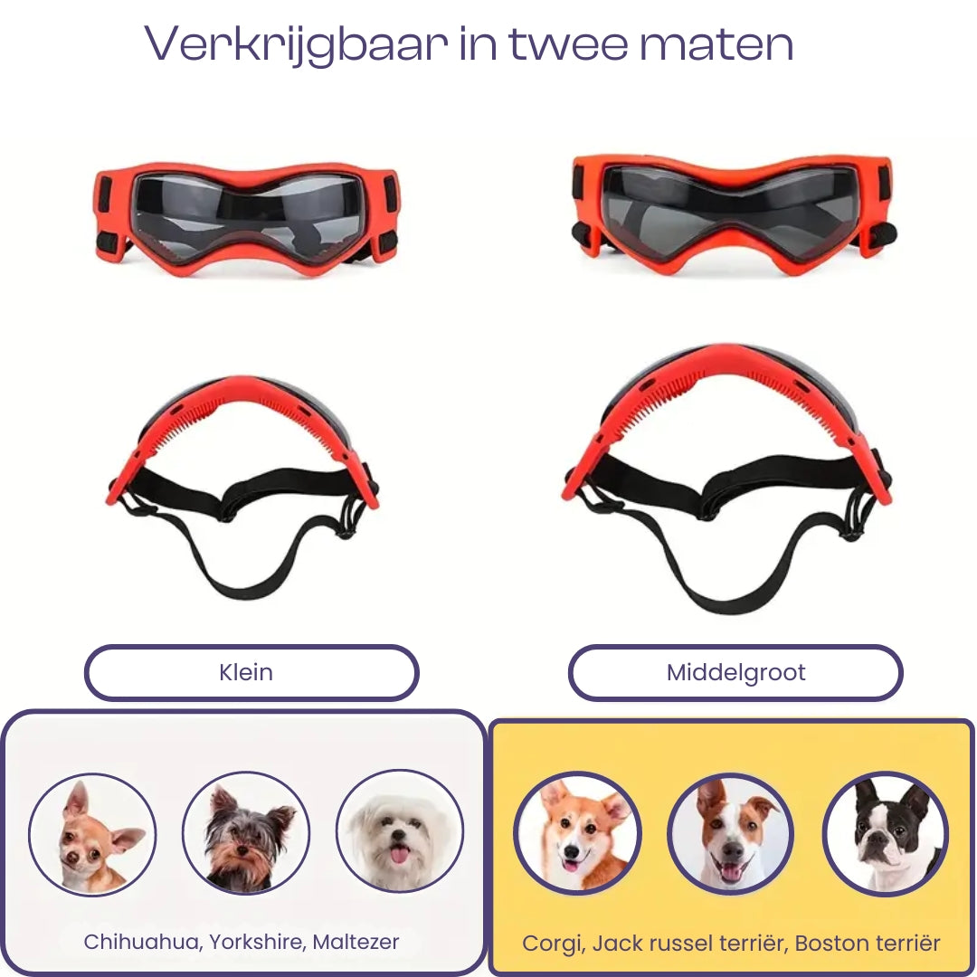 PupVisor | Stylische UV-Sonnenbrille für Hunde