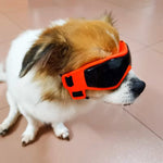 PupVisor | Stylische UV-Sonnenbrille für Hunde