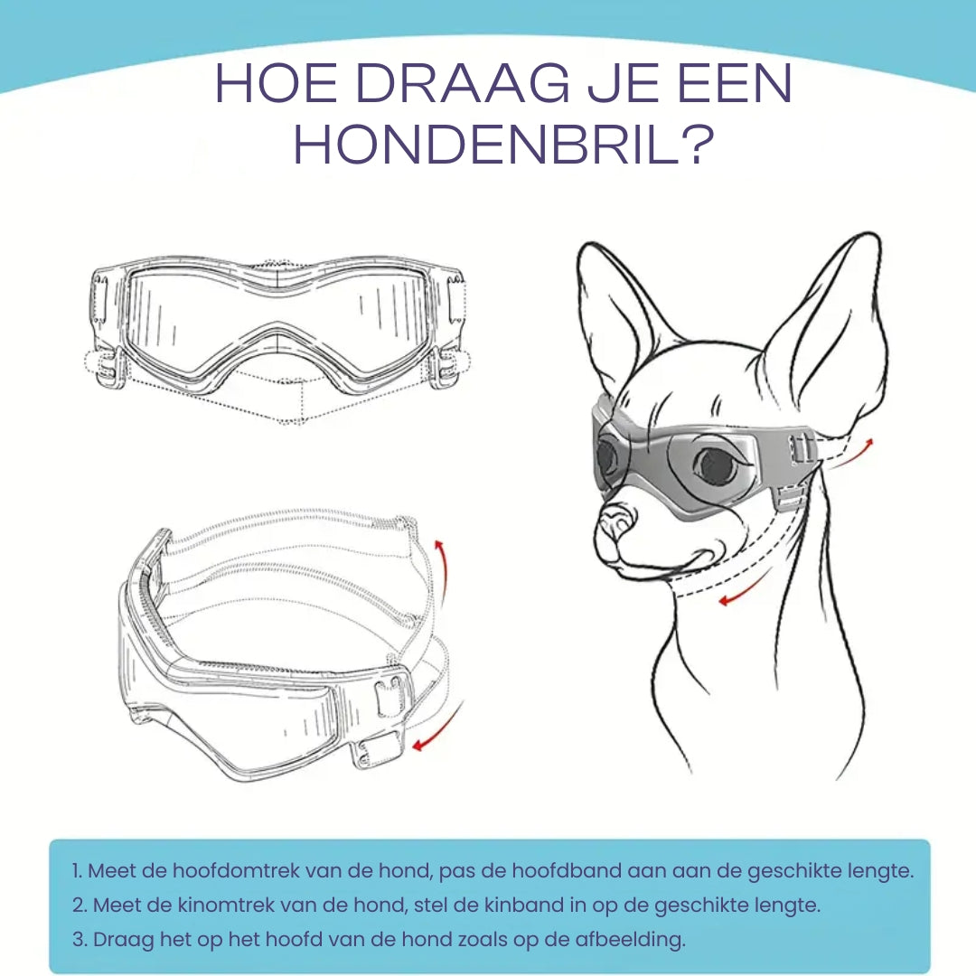 PupVisor | Stylische UV-Sonnenbrille für Hunde