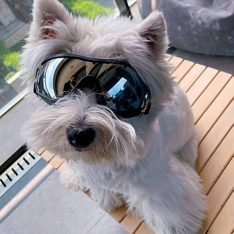 PupVisor | Stylische UV-Sonnenbrille für Hunde