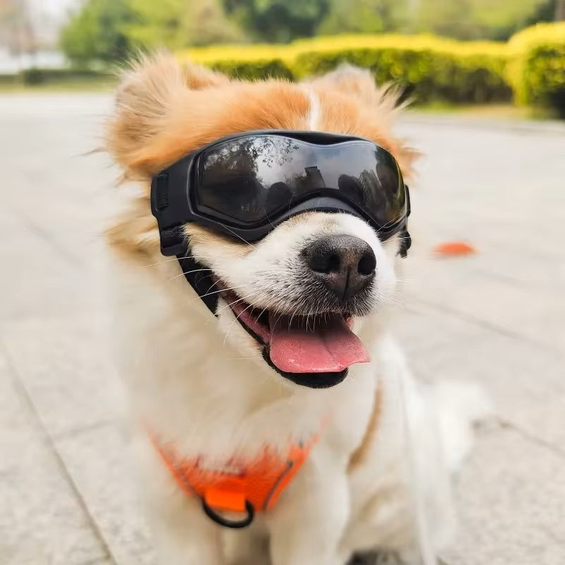 PupVisor | Stylische UV-Sonnenbrille für Hunde