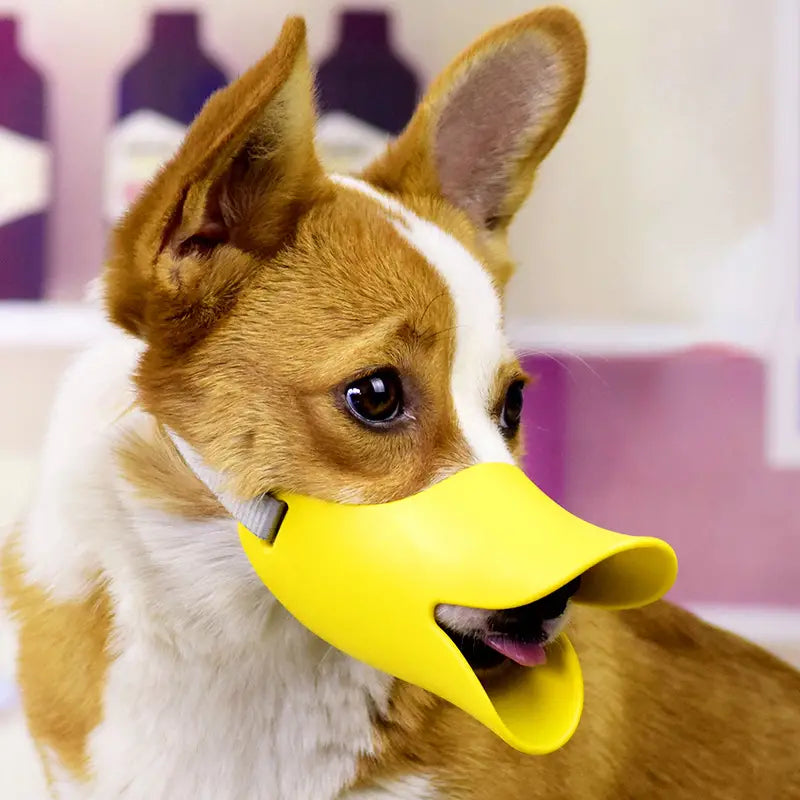 QuackSafe | Maulkorb mit Verstellbaren Riemen