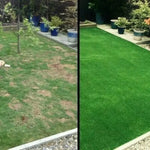 Fast Lawn Renovation | Grass Seed Mat for Perfect Results
