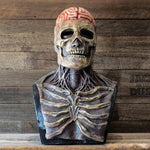 Realistic Skeleton Mask with Brain for Adults - Halloween Mask