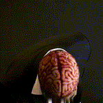 Realistic Skeleton Mask with Brain for Adults - Halloween Mask