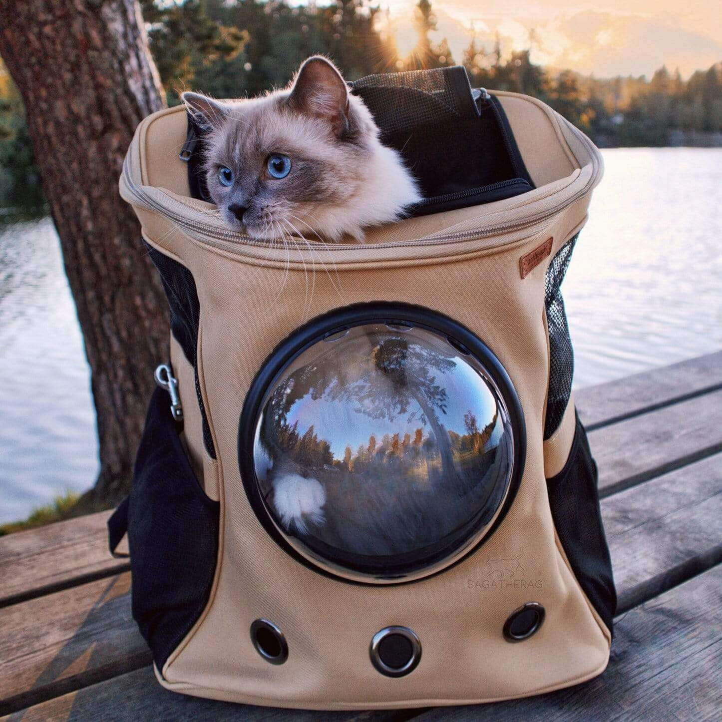 PurrVenture Backpack - Carrier Bag for Cats and Small Pets