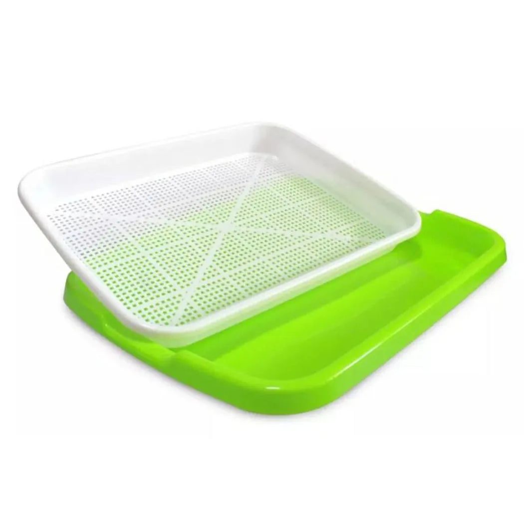 FrischeKeim Set | Zweischichtiges System für Microgreens | BPA-frei