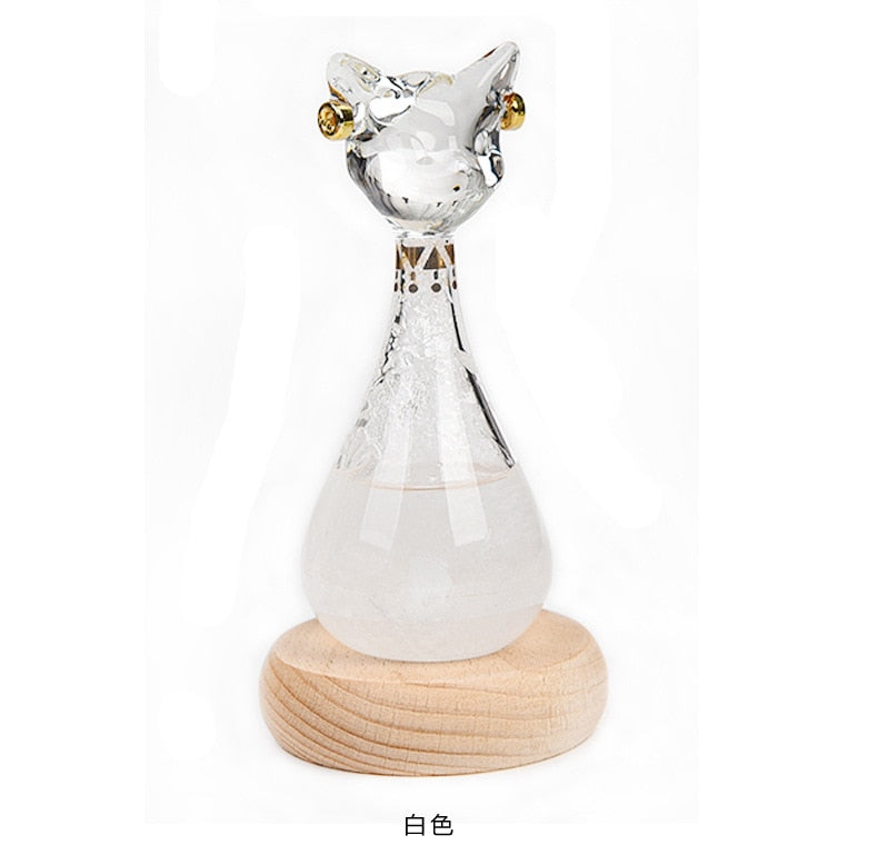 Cat Design Weather Forecast Bottle